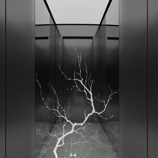 Nexus Elevator NE06